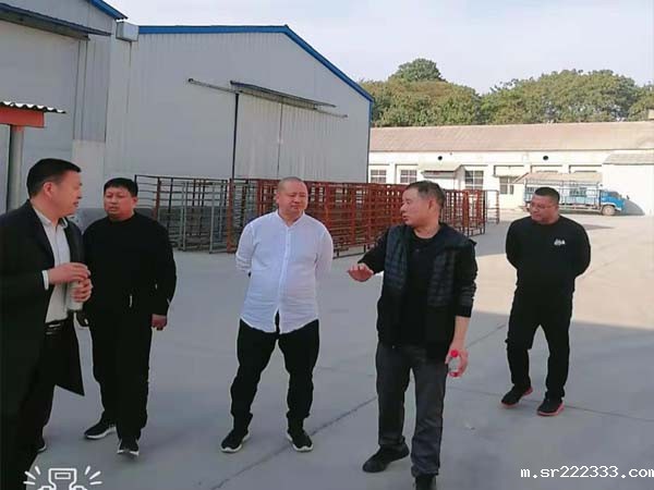 0U2256393-0-20230905035631