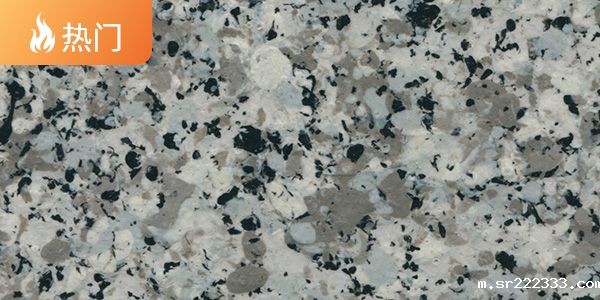 KN-RC-2381-20230920033823