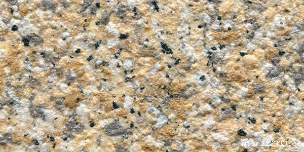 KN-RS-2445-20230920032648