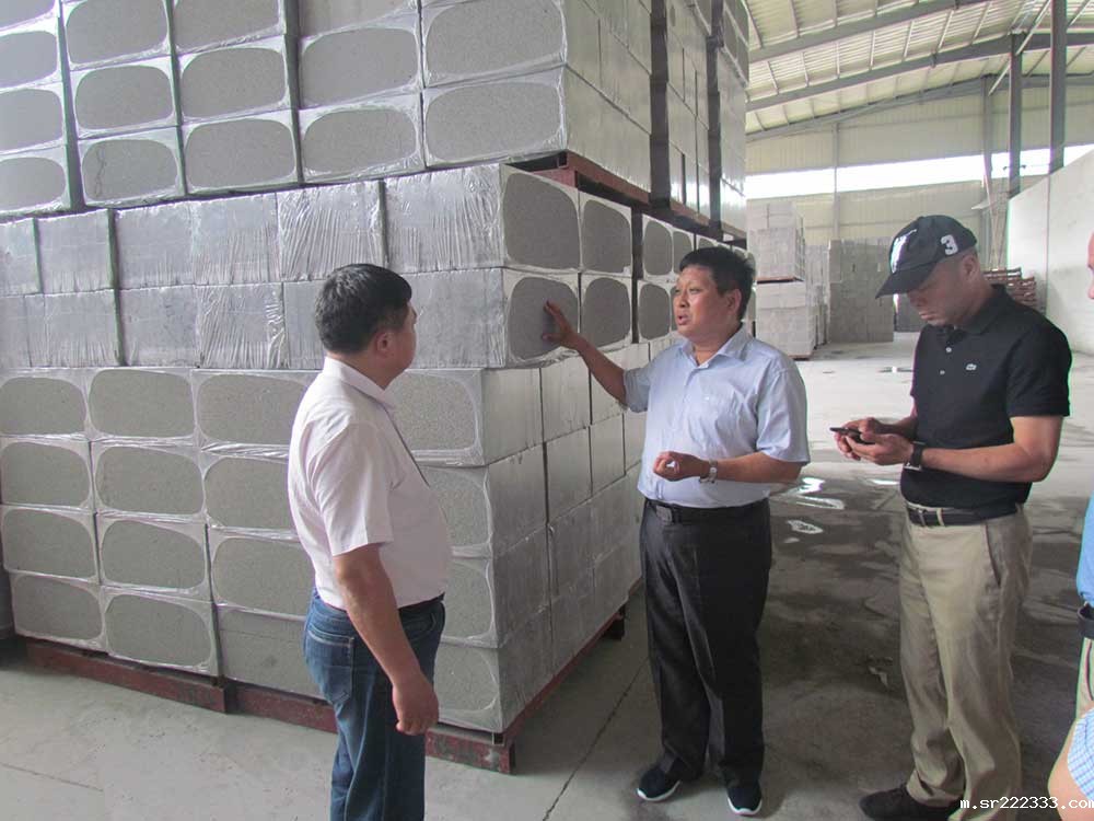 湖北应城市政府领导人莅临考察-5-20230906092820