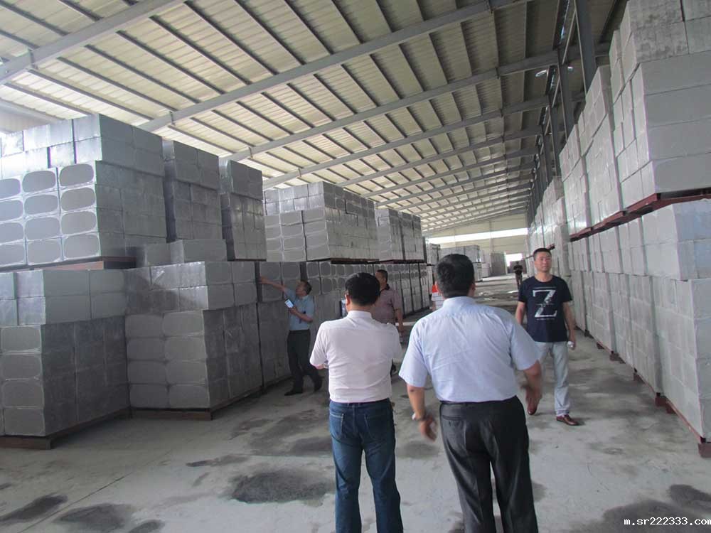 湖北应城市政府领导人莅临考察-4-20230906092820