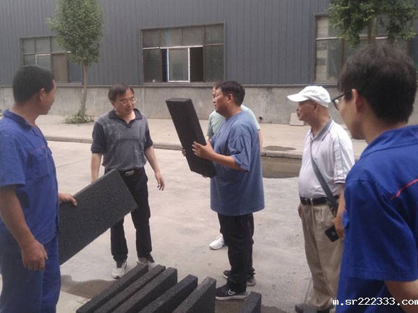 中国建科院王武祥教授莅临星空体育游戏考察-2-20230905031242