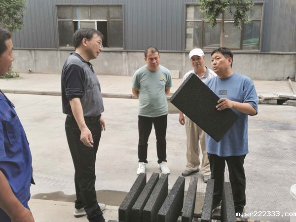 中国建科院王武祥教授莅临星空体育游戏考察-3-20230905031233