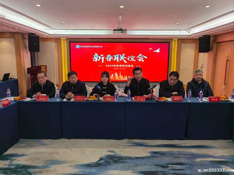 河南省建筑业协会建筑修缮分会2025新春联谊会-2